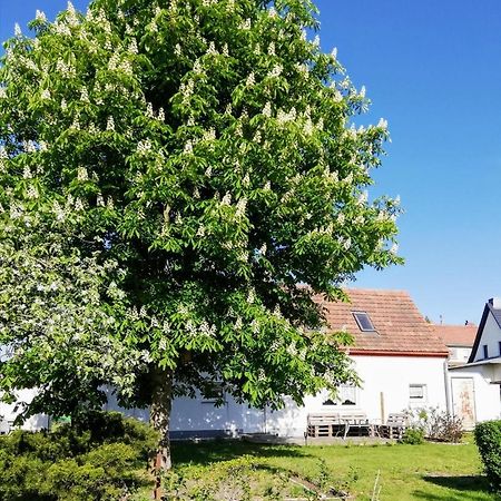 Ferienwohnung Lodig Gross Sarchen Extérieur photo